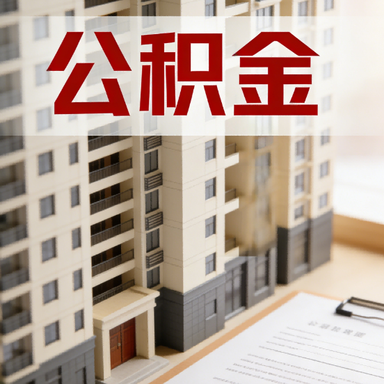 南京公积金代办行业新生态：从“跑腿中介”到“生活管家”的进化之路